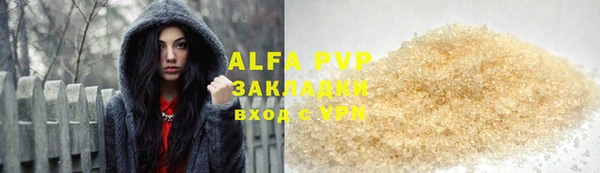 индика Алексин
