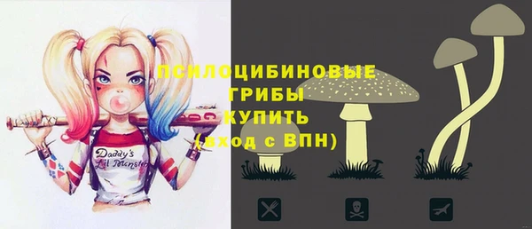 индика Алексин
