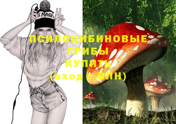 индика Алексин