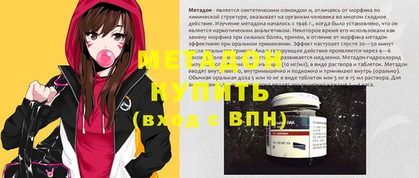 индика Алексин