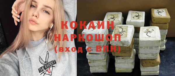 индика Алексин