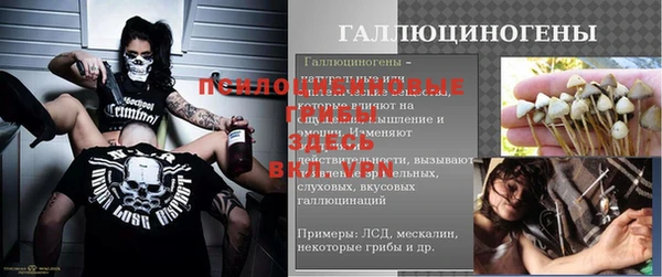индика Алексин