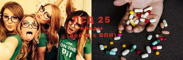 индика Алексин