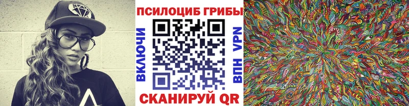 наркошоп Болхов Галлюциногенные грибы Psilocybine cubensis
